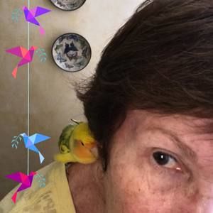 Meet your Posher, Sandra